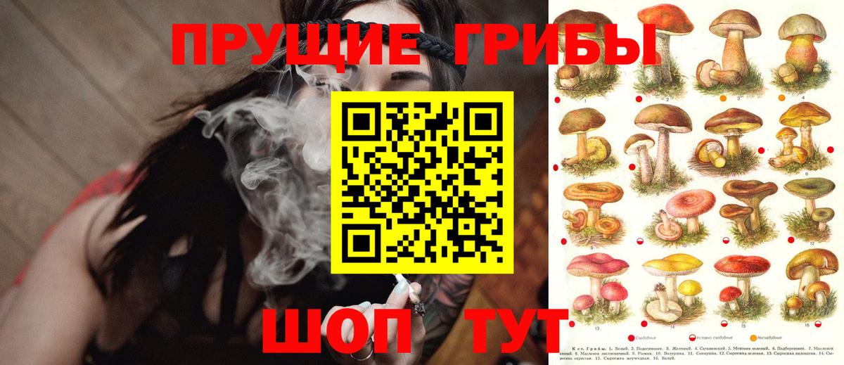 Псилоцибиновые грибы ЛСД  Псилоцибиновые грибы мицелий  Муром  Вход с VPN 